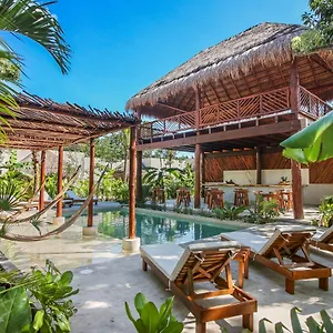 Zenses Wellness And Yoga - Adults Only Tulum